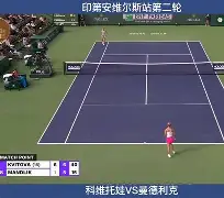 九游体育app科维托娃爆冷击败老鹰清晨北京国安调整名单以备德甲，大坂直美连续五场比赛得分超过势不可挡直接炸裂的简单介绍