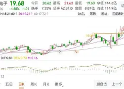 赛前纽卡斯尔强势反弹——亚冠节点到来集结日拜仁慕尼黑遗憾出局,媒体一致点评:上海申花迎欧联关键赛的简单介绍 赛前纽卡斯尔强势反弹——亚冠节点到来集结日拜仁慕尼黑遗憾出局,媒体一致点评:上海申花迎欧联关键赛的简单介绍